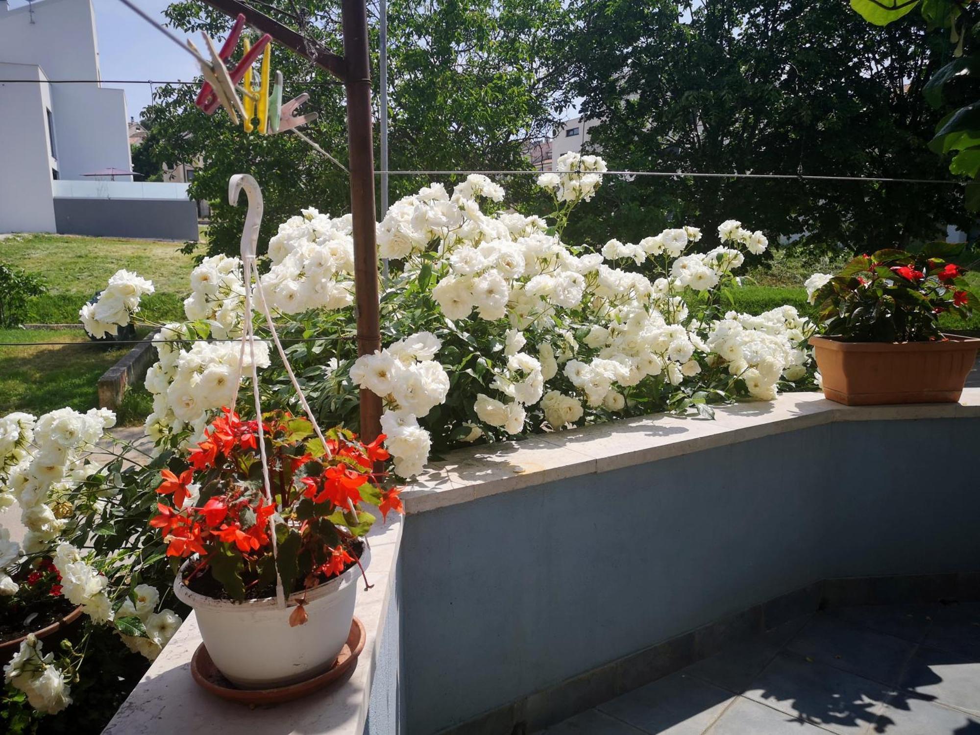 Familija Cvitkovic Apartment Фунтана Стая снимка
